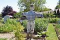 32. Church Allotments